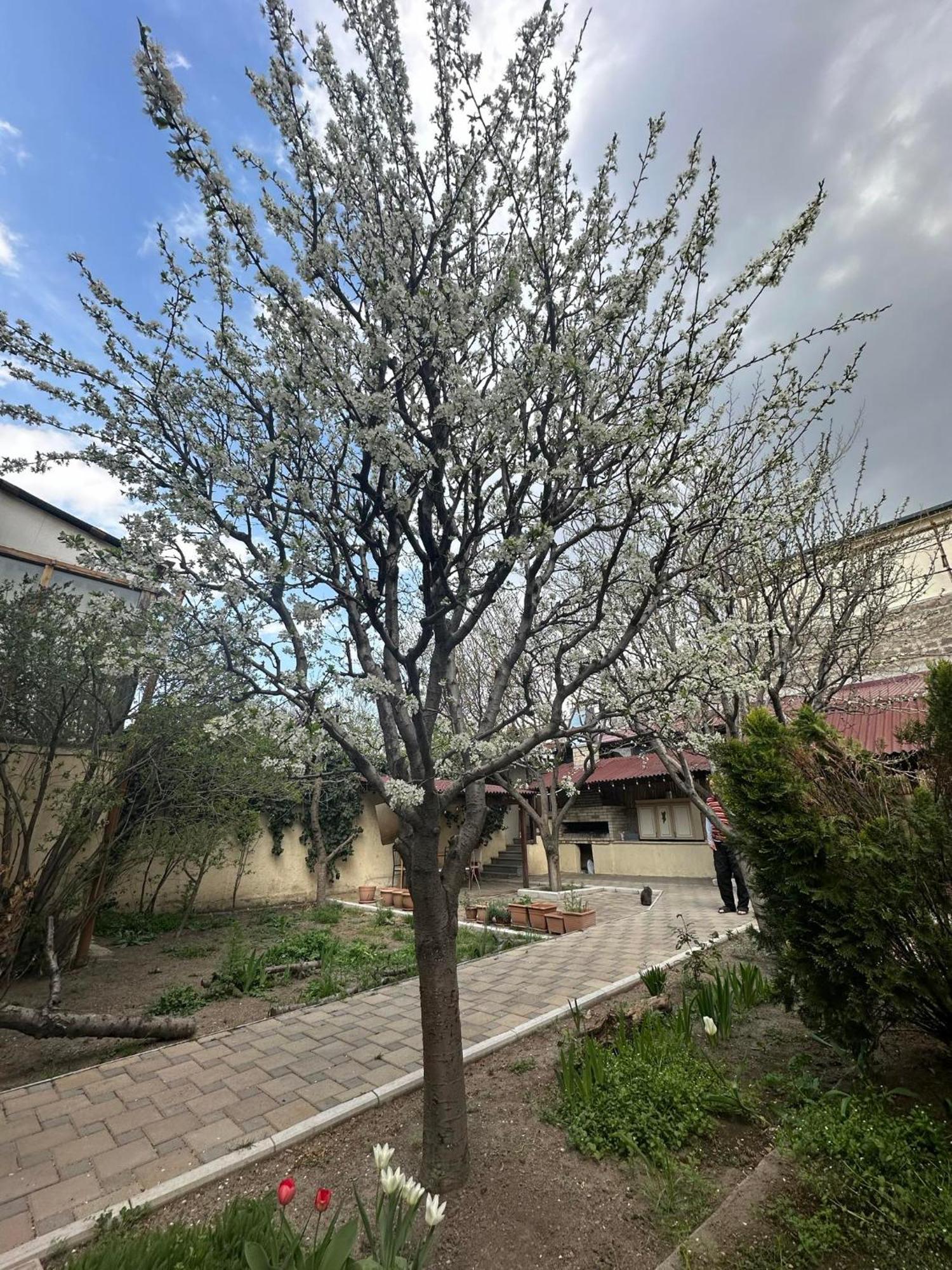 Popock City Center Jereván Kültér fotó